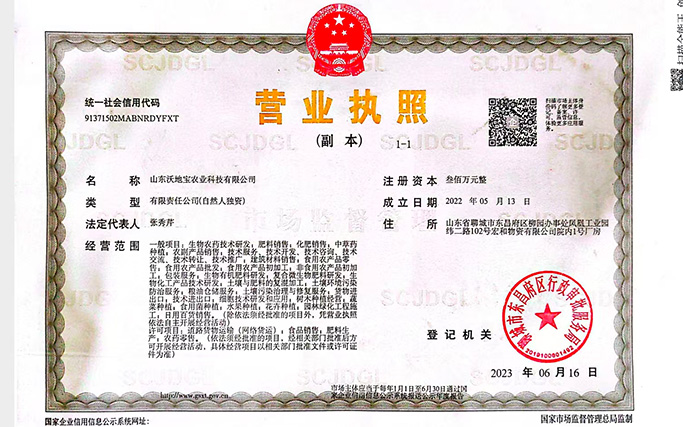 企业使命 企业愿景